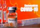 India In Conversation With Russia Regarding Manufacture Of COVID Vaccine Sputnik V: Health Ministry