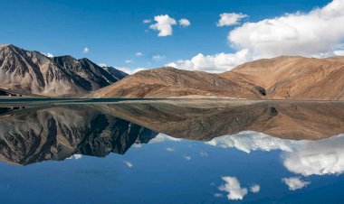 Indian Army Impeded Chinese Militaries in Ladakh