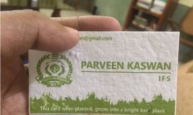 IFS Officer’s Visiting Card Can Plant a Holy Basil | Ingenious Efforts to Make the Earth Greener