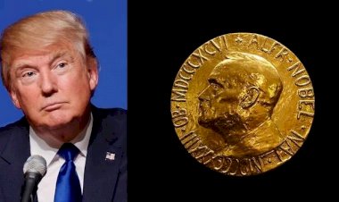BIZZARE|| Donald Trump get nominated for  Nobel Peace Prize 2020| Who nominated him??