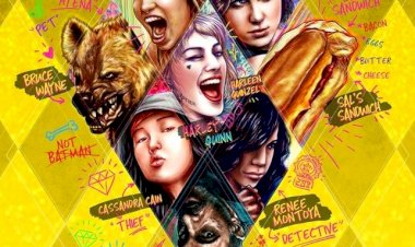 Brace yourself for DC'S The BIRDS OF PREY