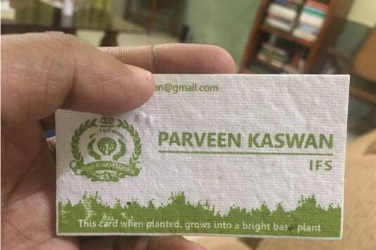 IFS Officer’s Visiting Card Can Plant a Holy Basil | Ingenious Efforts to Make the Earth Greener