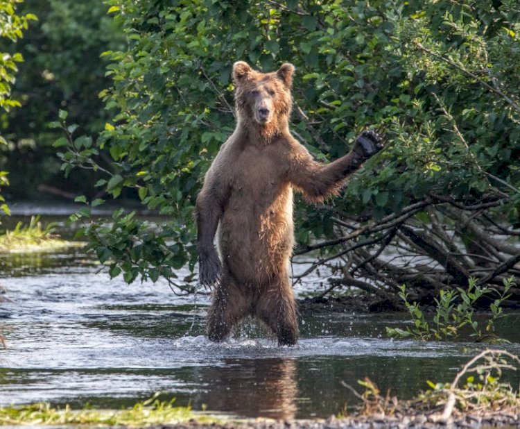 "Hi Y'all!"