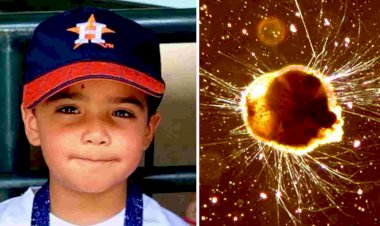 2020’s New Disease Outbreak || ‘Brain-Eating Amoeba’ Found In Fresh waters of Texas