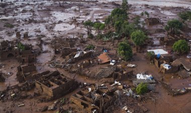 Famous Environmental Disaster and The Lesson We Have Learned