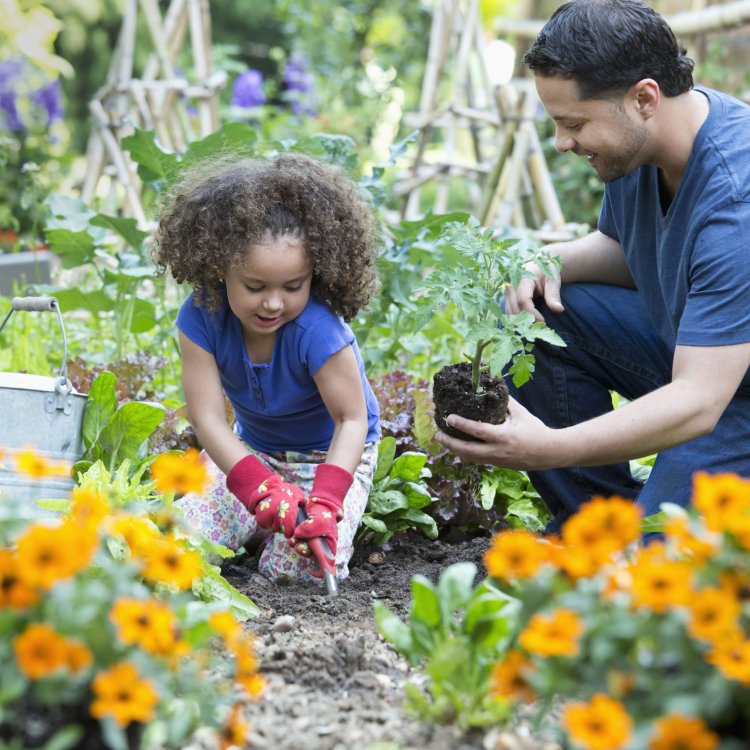 Gardening