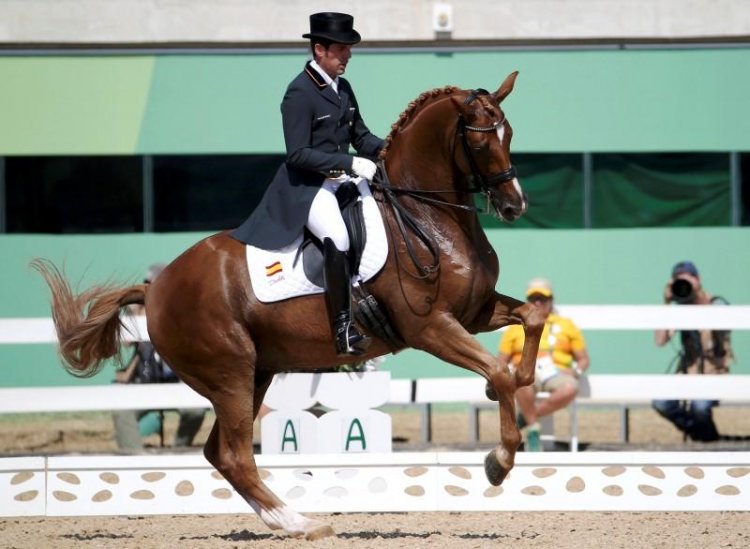 Equestrian Dressage