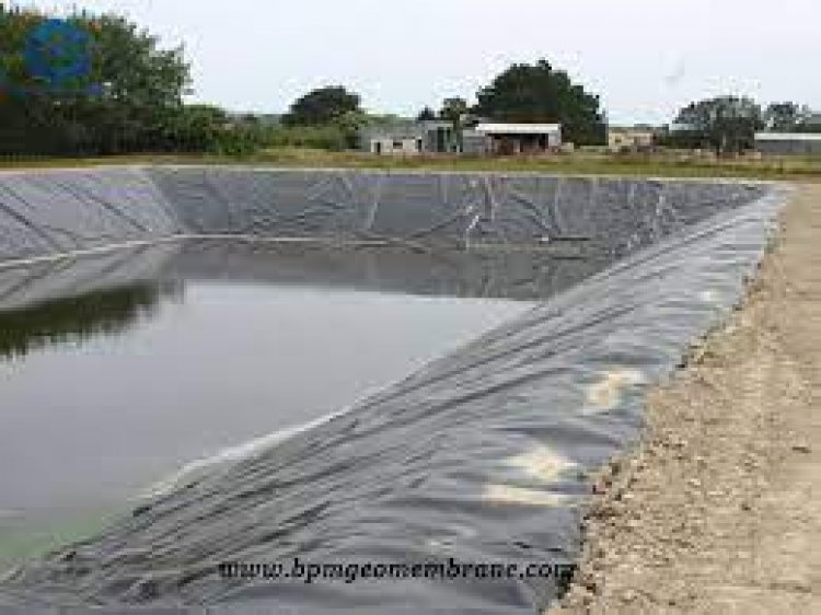 Cheap Pond Liners | How To