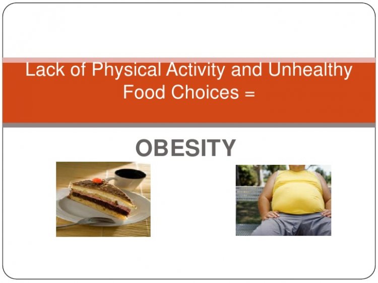 A Battle of Great Proportions: The Fight Against Obesity