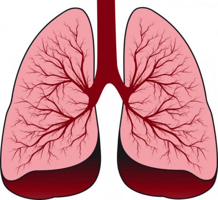 Your 3 Best Options for Increased Lung Capacity