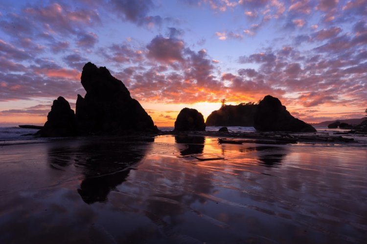 Washington State ’s Olympic National Park - A Great Vacation and Travel Destination