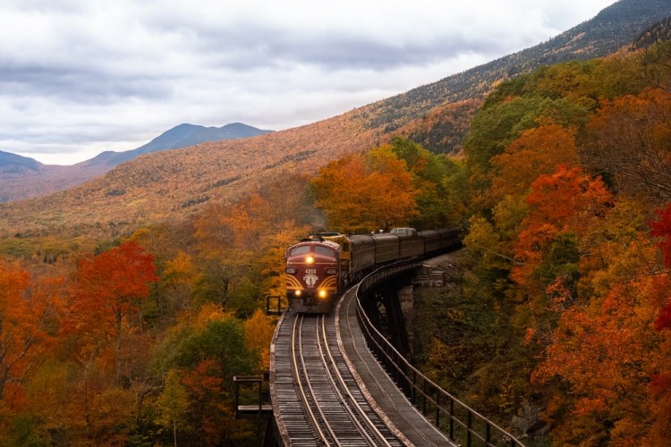 Travel by Train and Travel in Style