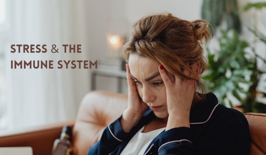 How Does Stress Affect Your Immune System?