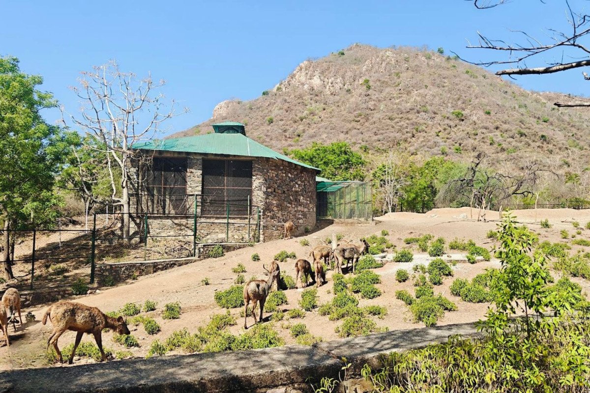 A Place of Sanctuary - Creating Sacred Space