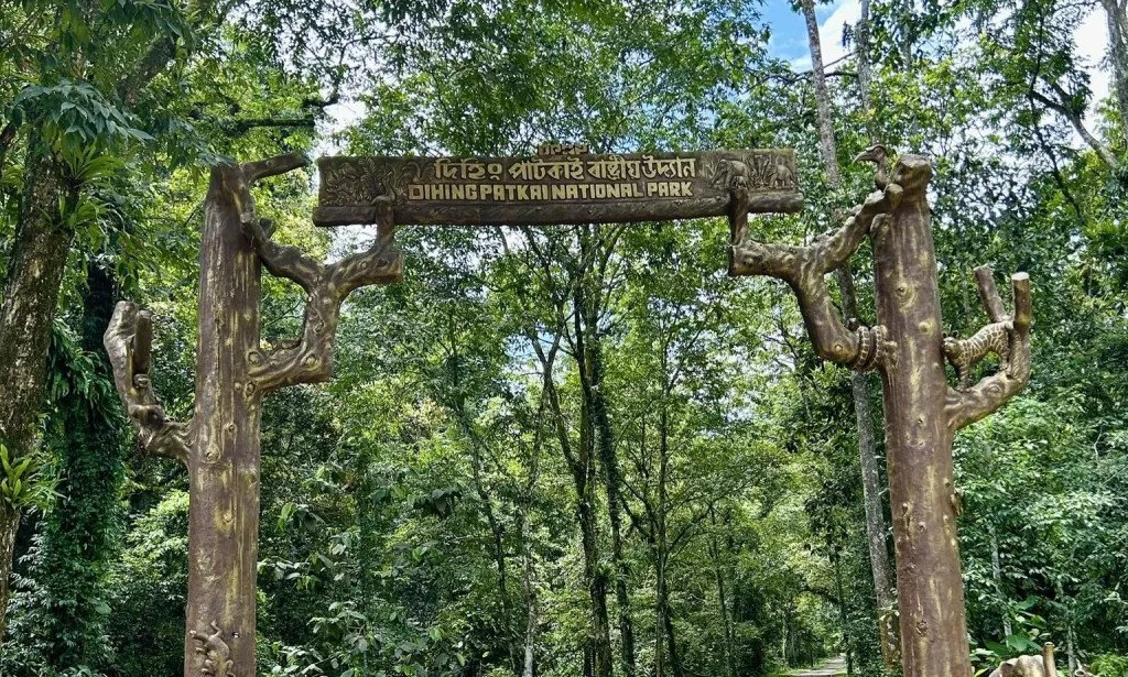 It’s time to wake up & help Mother Nature!-Save "Dehing Patkai Wildlife Reserve"