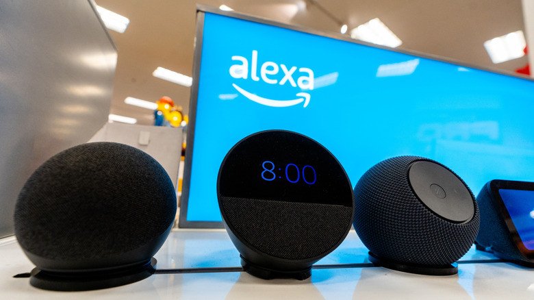 Why Do You Need Alexa?