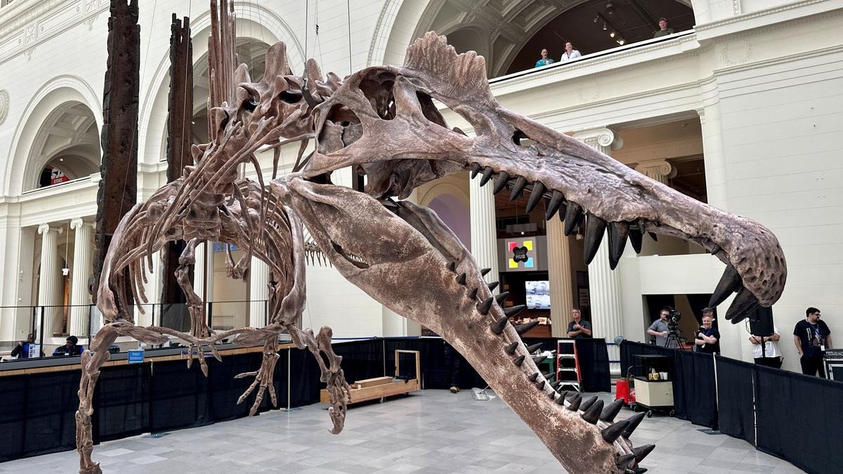 Scientists recently discovered new dinosaur in brazil