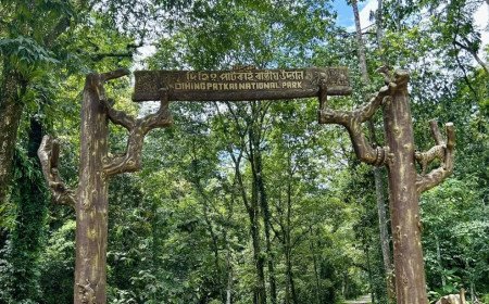 It’s time to wake up & help Mother Nature!-Save "Dehing Patkai Wildlife Reserve"
