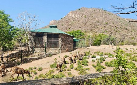 A Place of Sanctuary - Creating Sacred Space