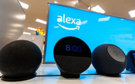 Why Do You Need Alexa?