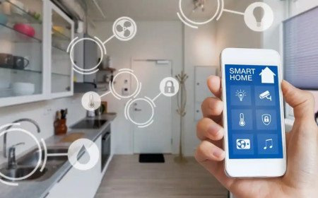 Smart Home Solutions : A View from the Future