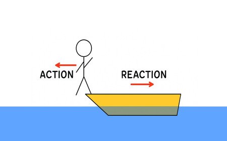 Action NOT Reaction