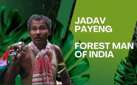 Forest Man : The journey from Majuli to Mexico.