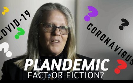 The PlanDemic Documentry.-Doctors in black : The PlanDemic