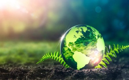 "The Greatest Threat To Our Planet Is The Belief That Someone Else Will Save It."