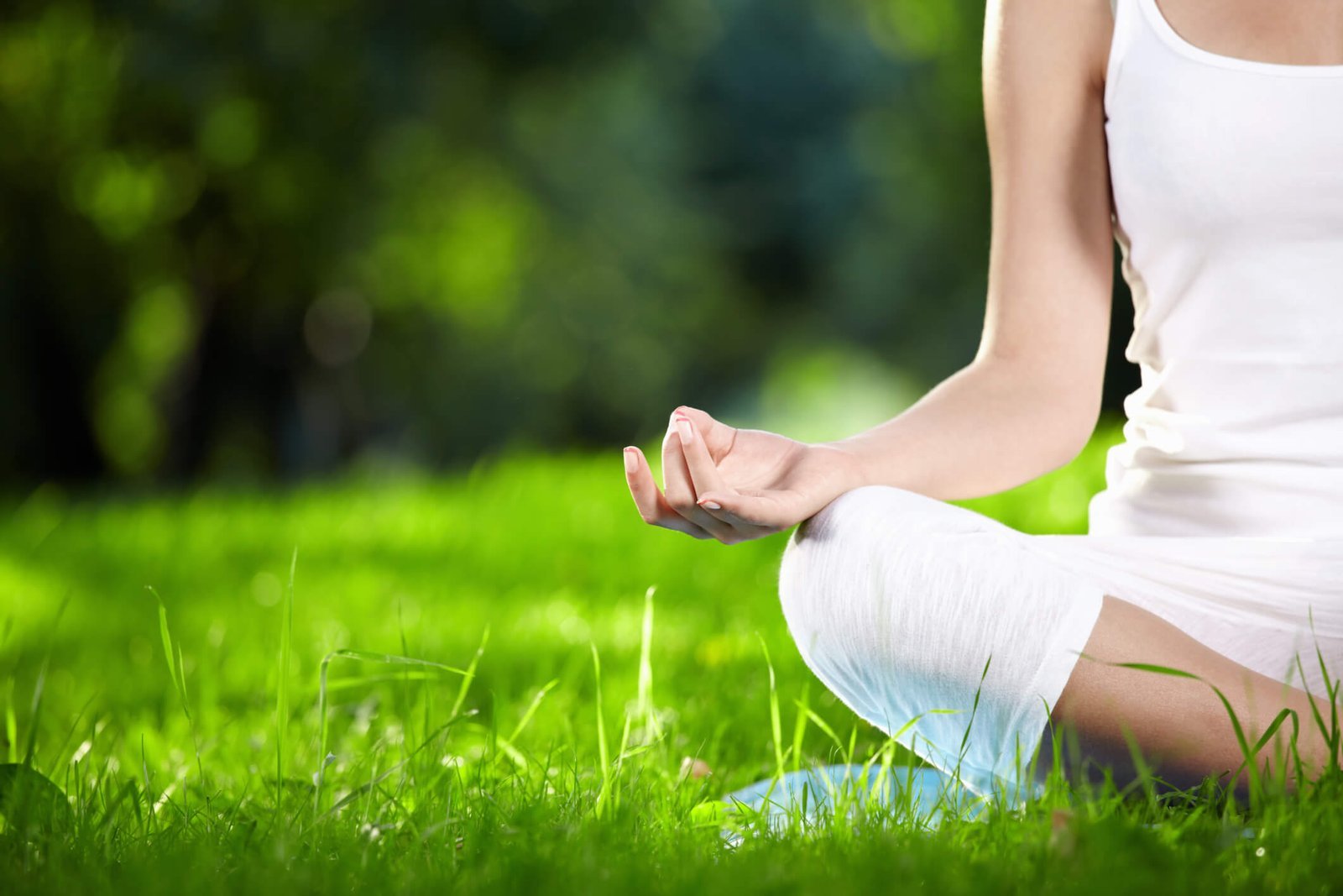 Absolute Yoga